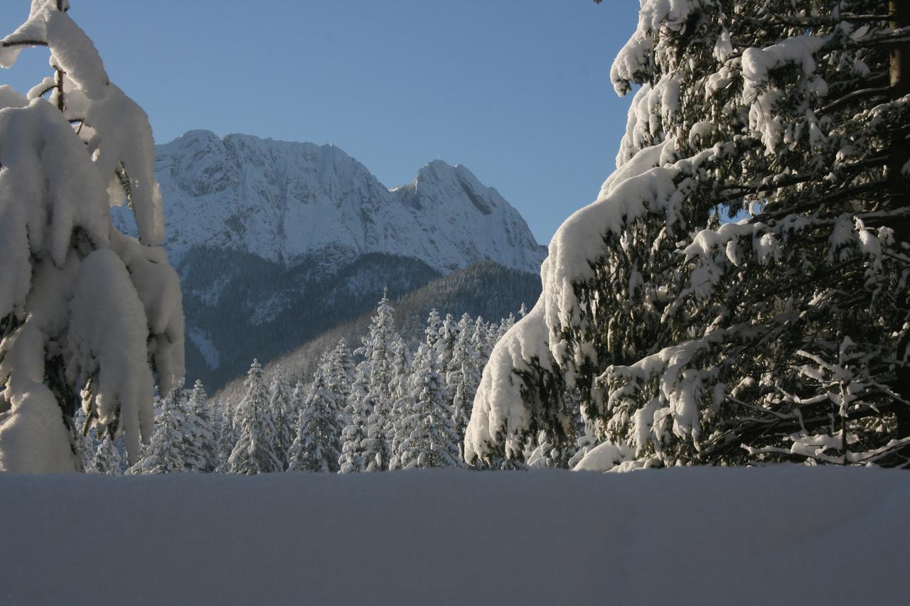 Apartamenty Paradis Zakopane Exterior photo